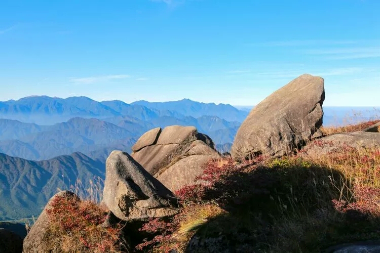 五府岗秋日 五府岗秋日