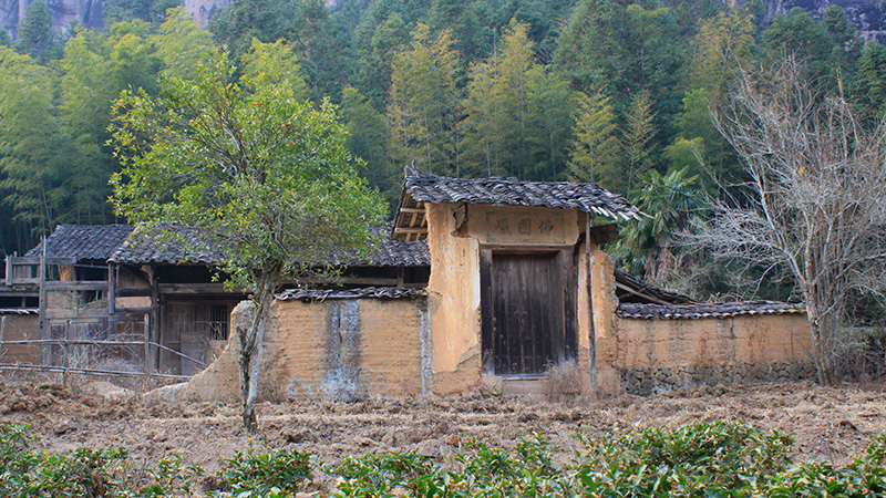 武夷山弥陀岩佛国岩