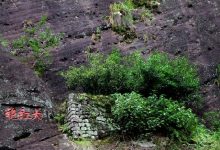茶中状元--福建武夷山大红袍-大红袍-景区风光-武夷山旅游-茶米家